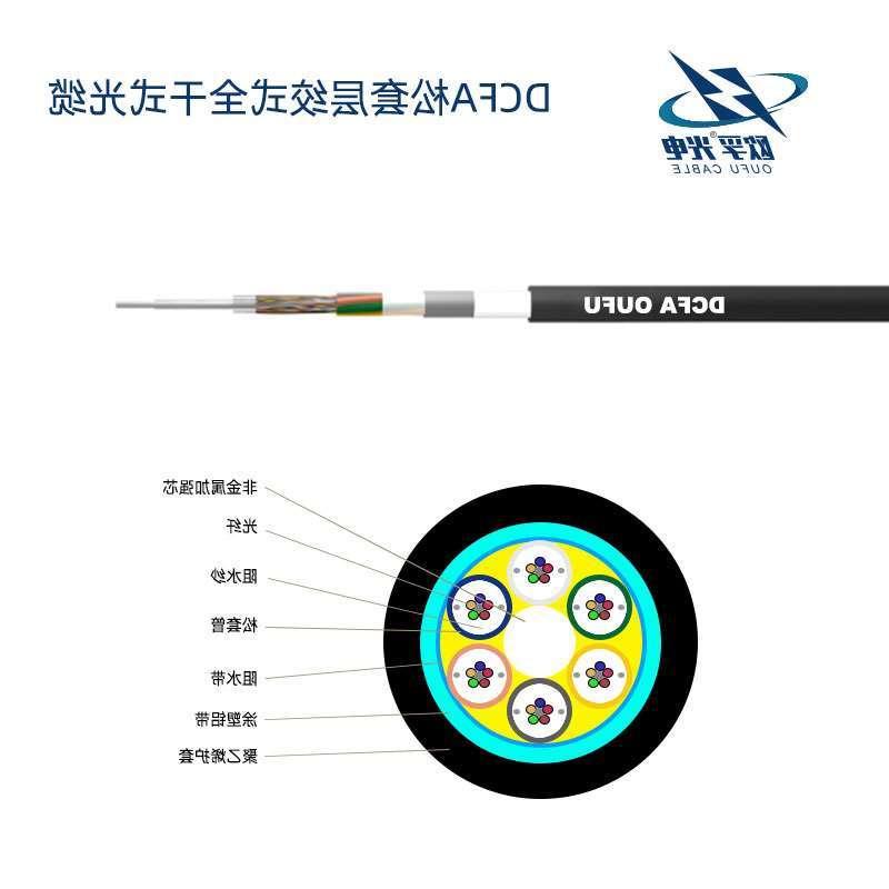 西双版纳傣族自治州DCFA光缆