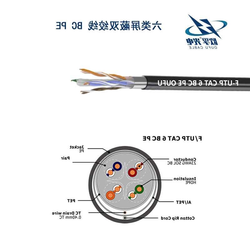 欧孚F/UTP CAT6以太网网络电缆