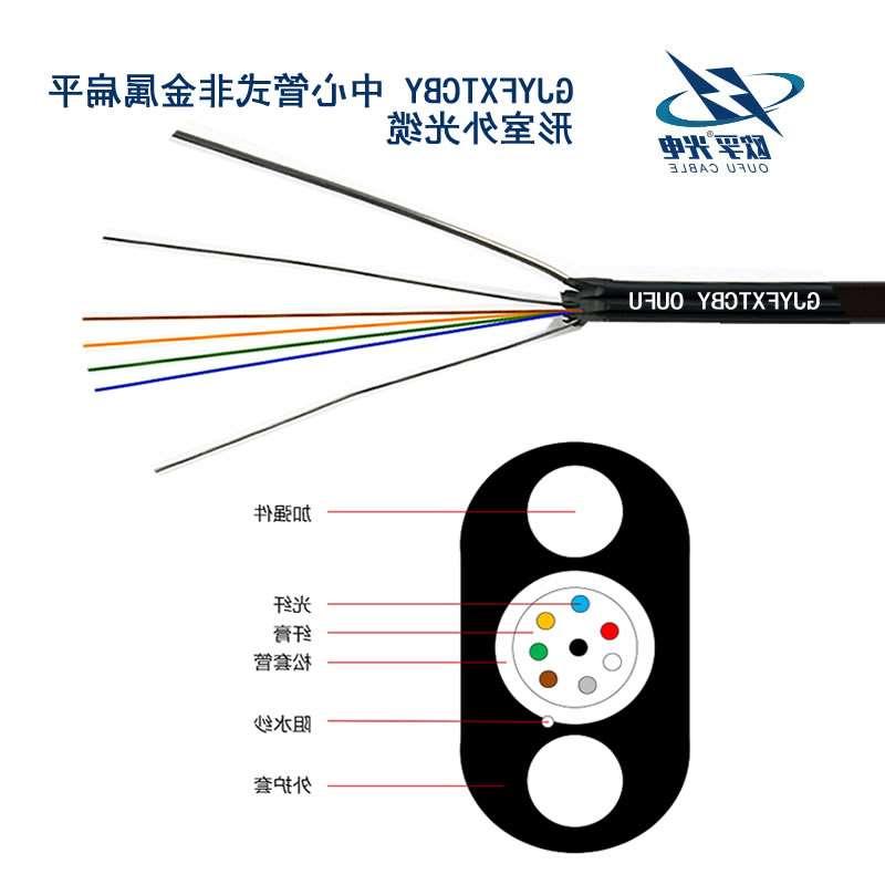 新余市GJYFXTCBY扁平光缆