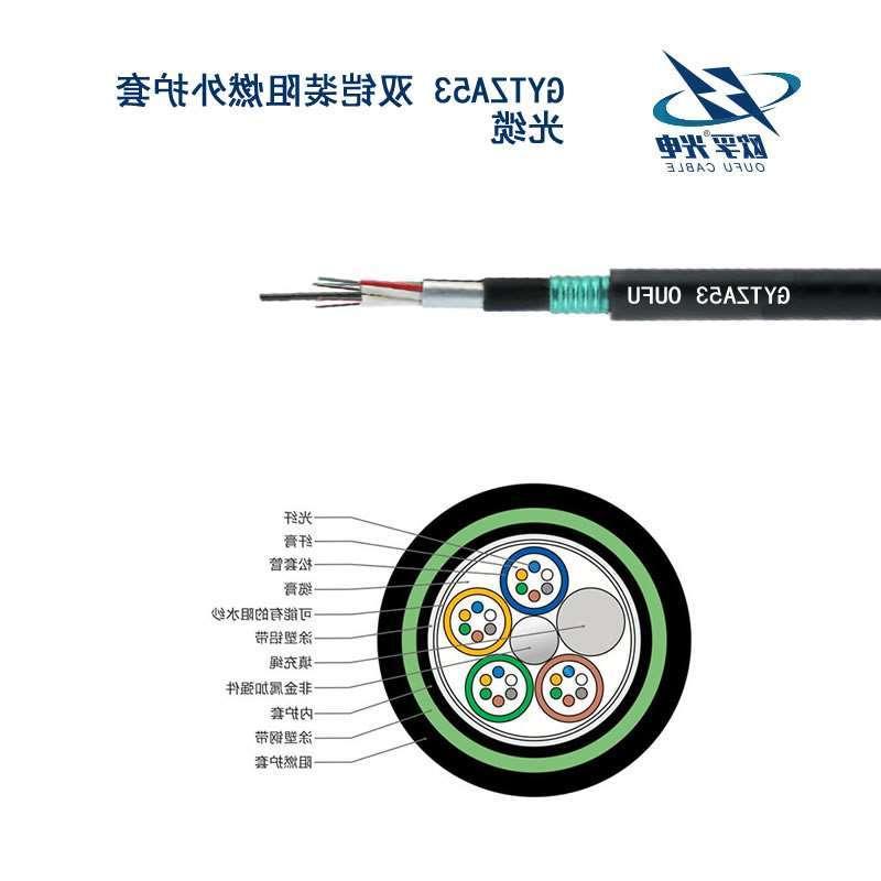 圣方济各堂区GYTZA53光缆